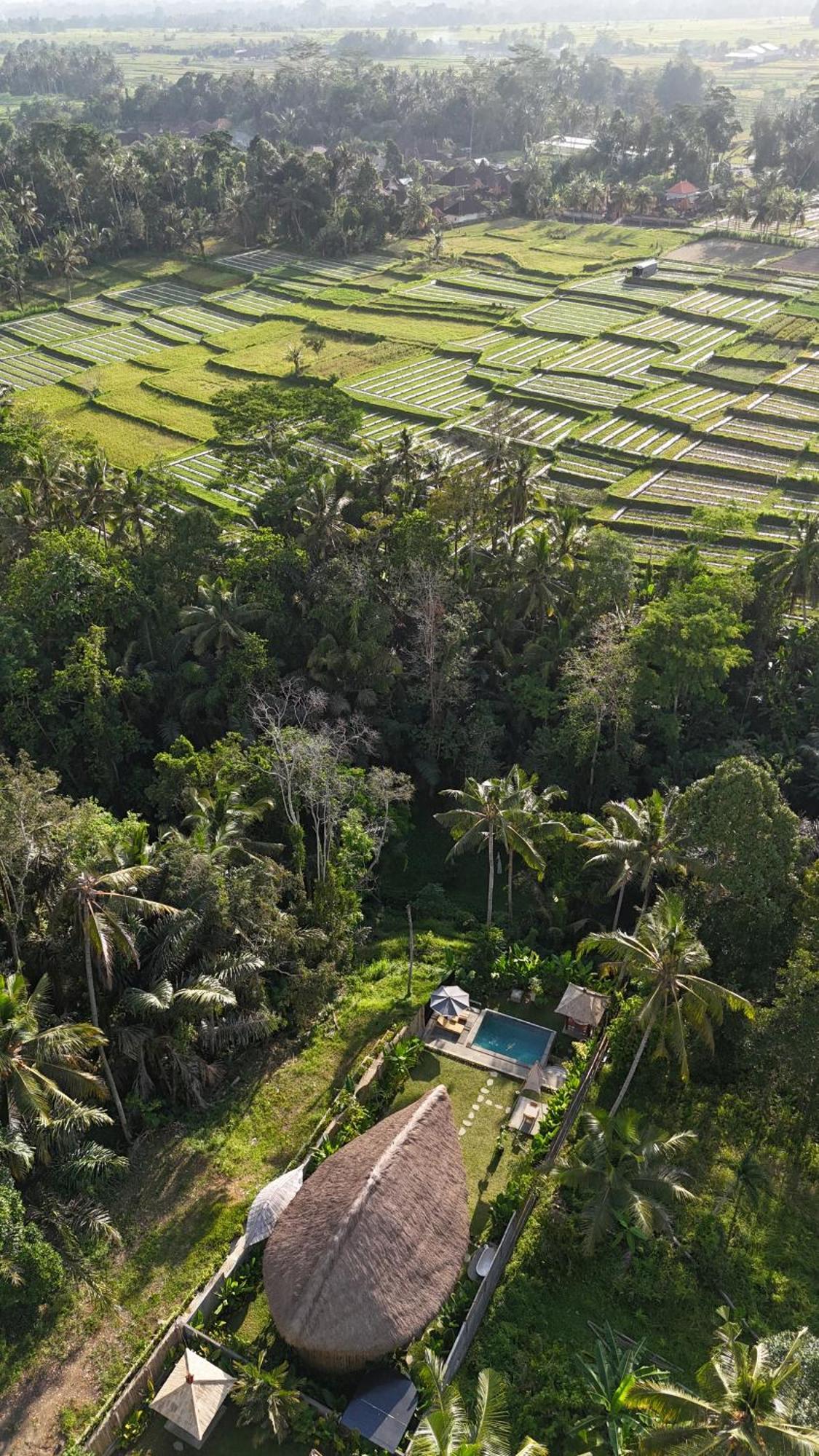 Pitu, A Punggul Village Escape Sangeh Екстер'єр фото